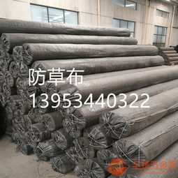 寿光蔬菜大棚100克防草布厂家